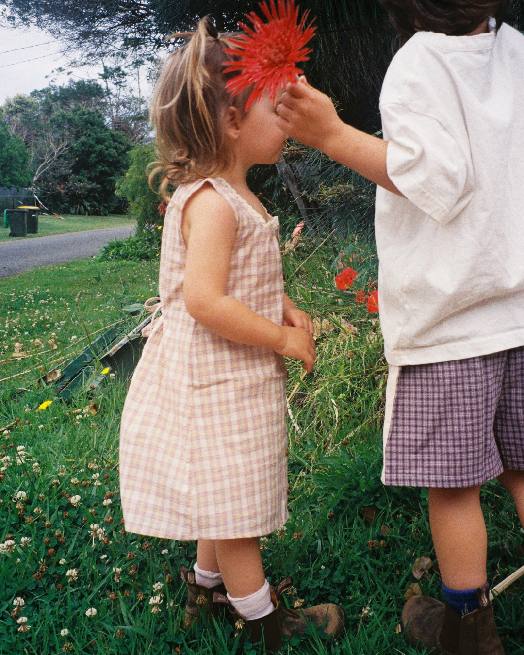 Picnic Dress, Apricot