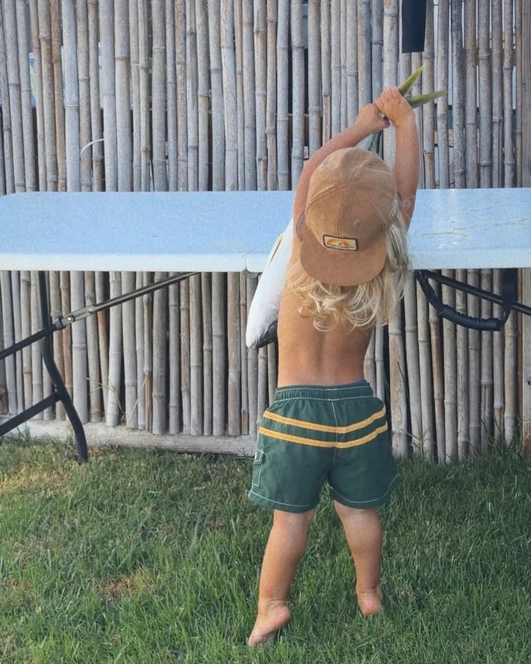 Board Shorts, Green & Gold