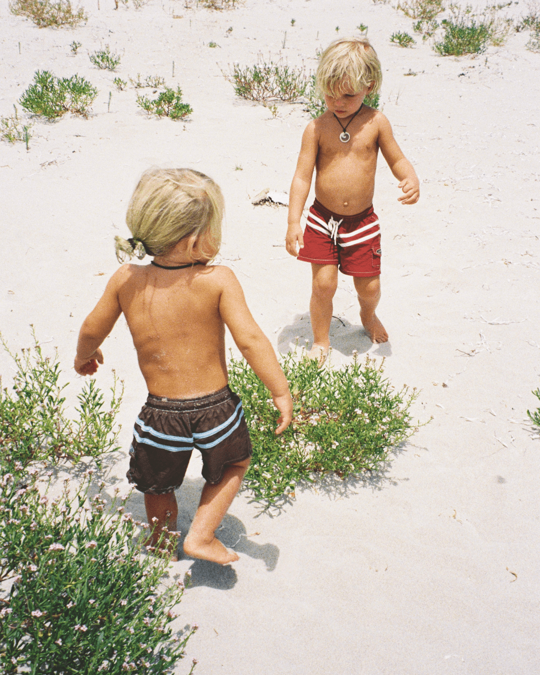 Board Shorts, Wharf - We Are Cambe