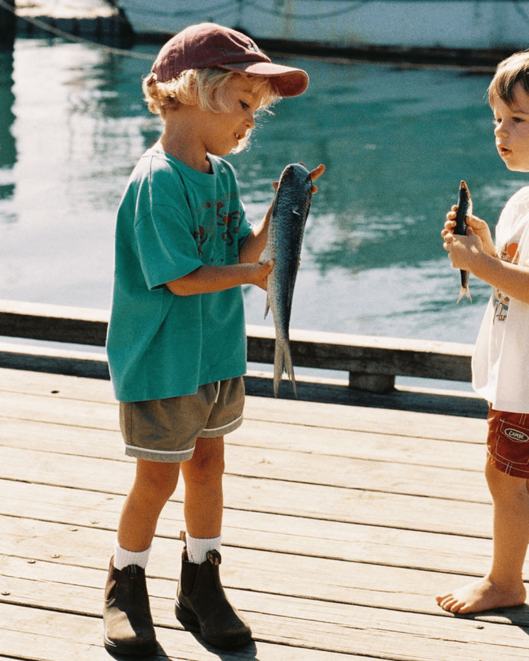 Scout Shorts - We Are Cambe