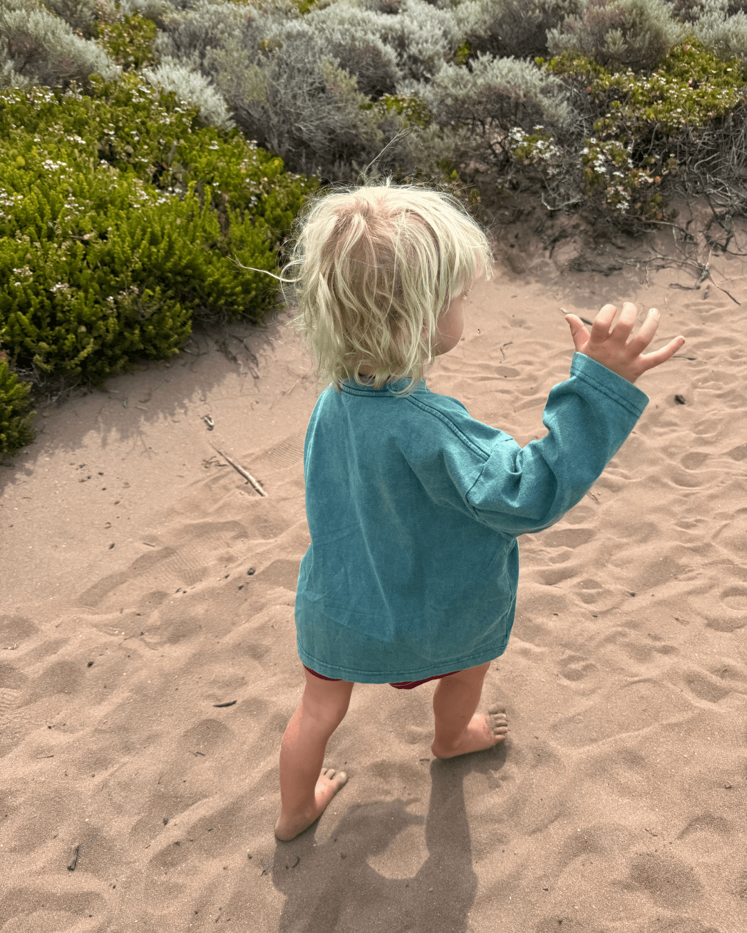 Essential Longsleeve Tee, Lagoon - We Are Cambe