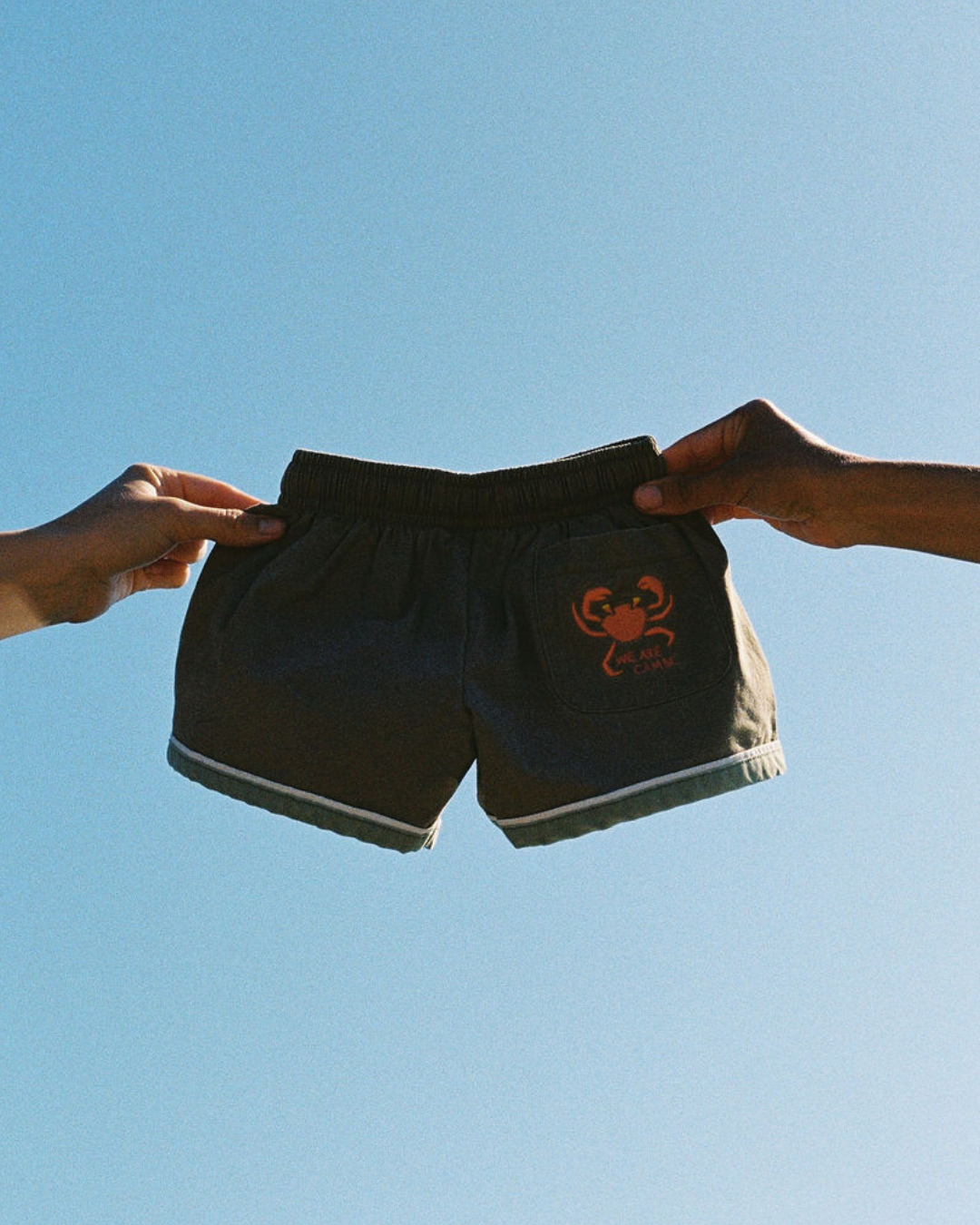 Scout Shorts